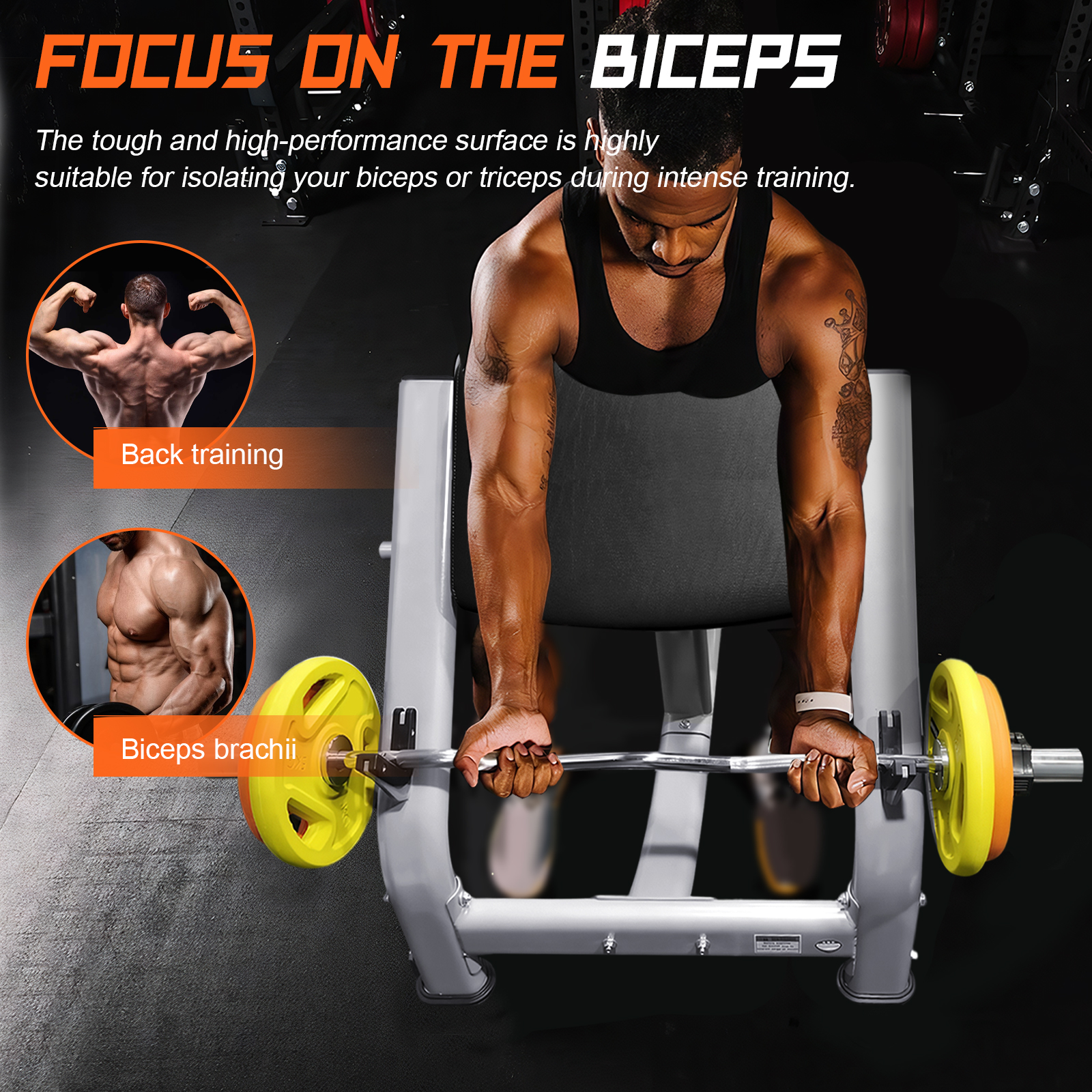 Adjustable Preacher Curl Bench - Home Gym Dumbbell Workout ulasan dan harga