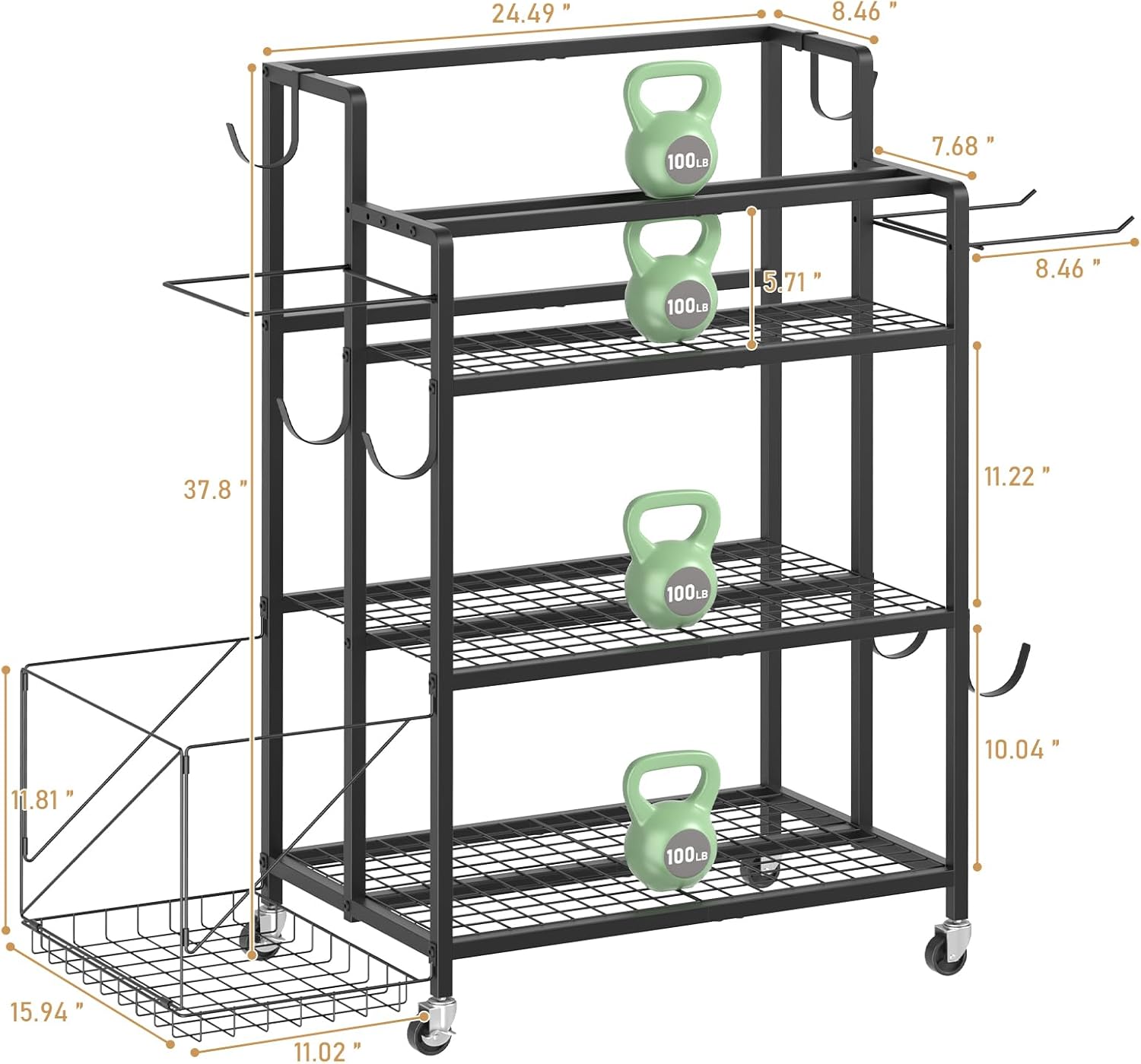 Home Gym Storage, No Material  - Home Gym Dumbbell Workout ulasan dan harga