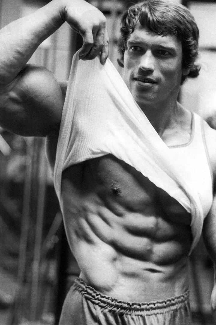 Arnold Schwarzenegger Bodybuil - Home Gym Quotes ulasan dan harga