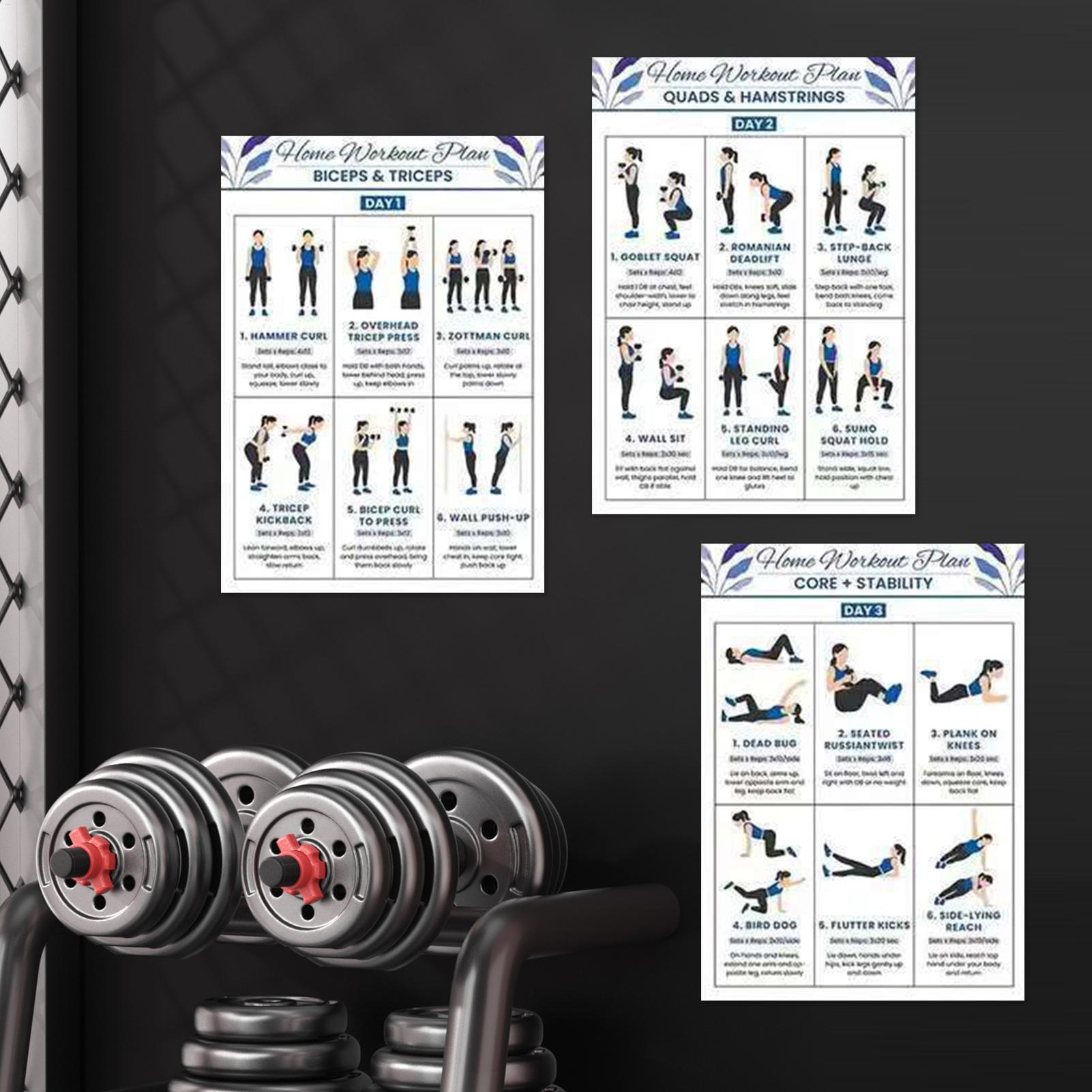 6pcs Yoga Dumbbell Stretching  - Home Gym Dumbbell Workout ulasan dan harga